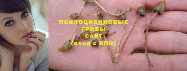соль ск Абинск