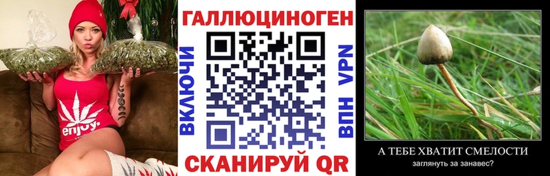 Псилоцибиновые грибы ЛСД  Чита 