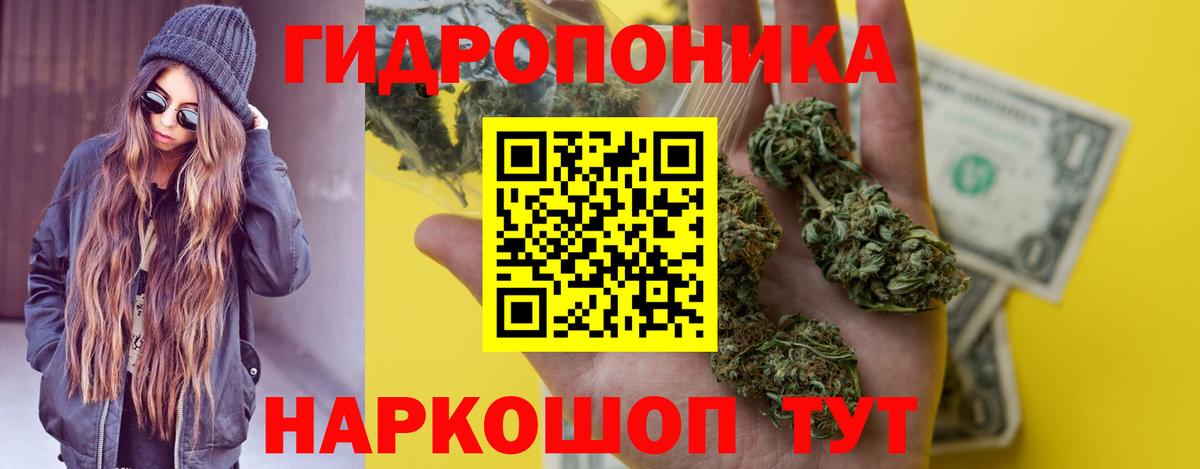 Шишки марихуана Bruce Banner Чита